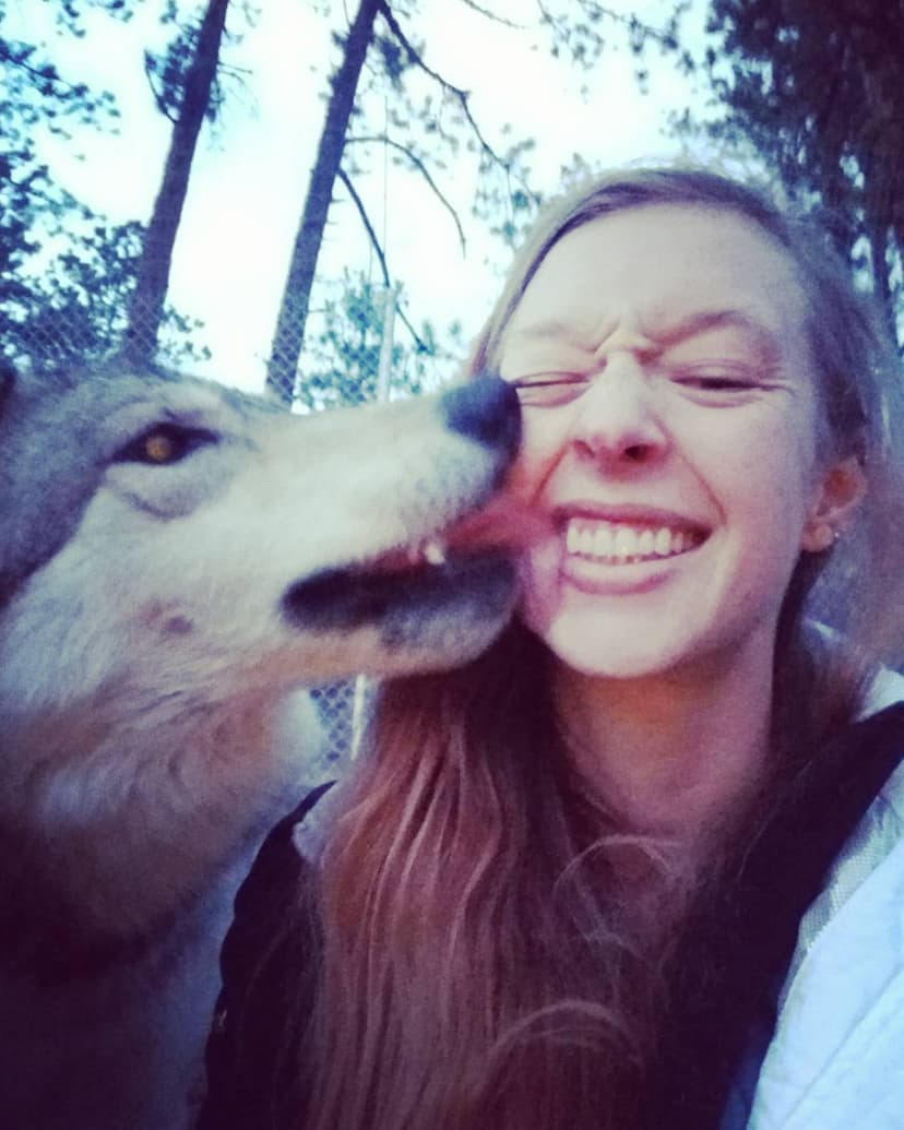 Kat getting a kiss from a wolf