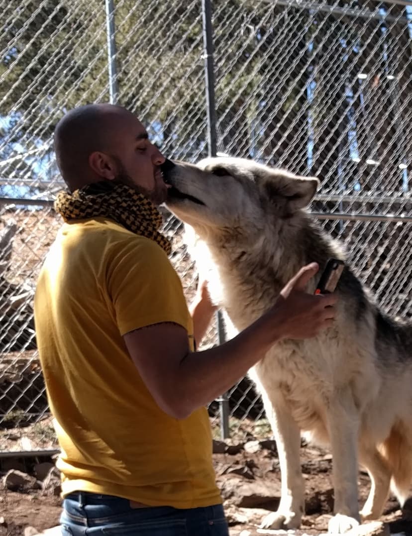 Josh with spending quality time with a wolf