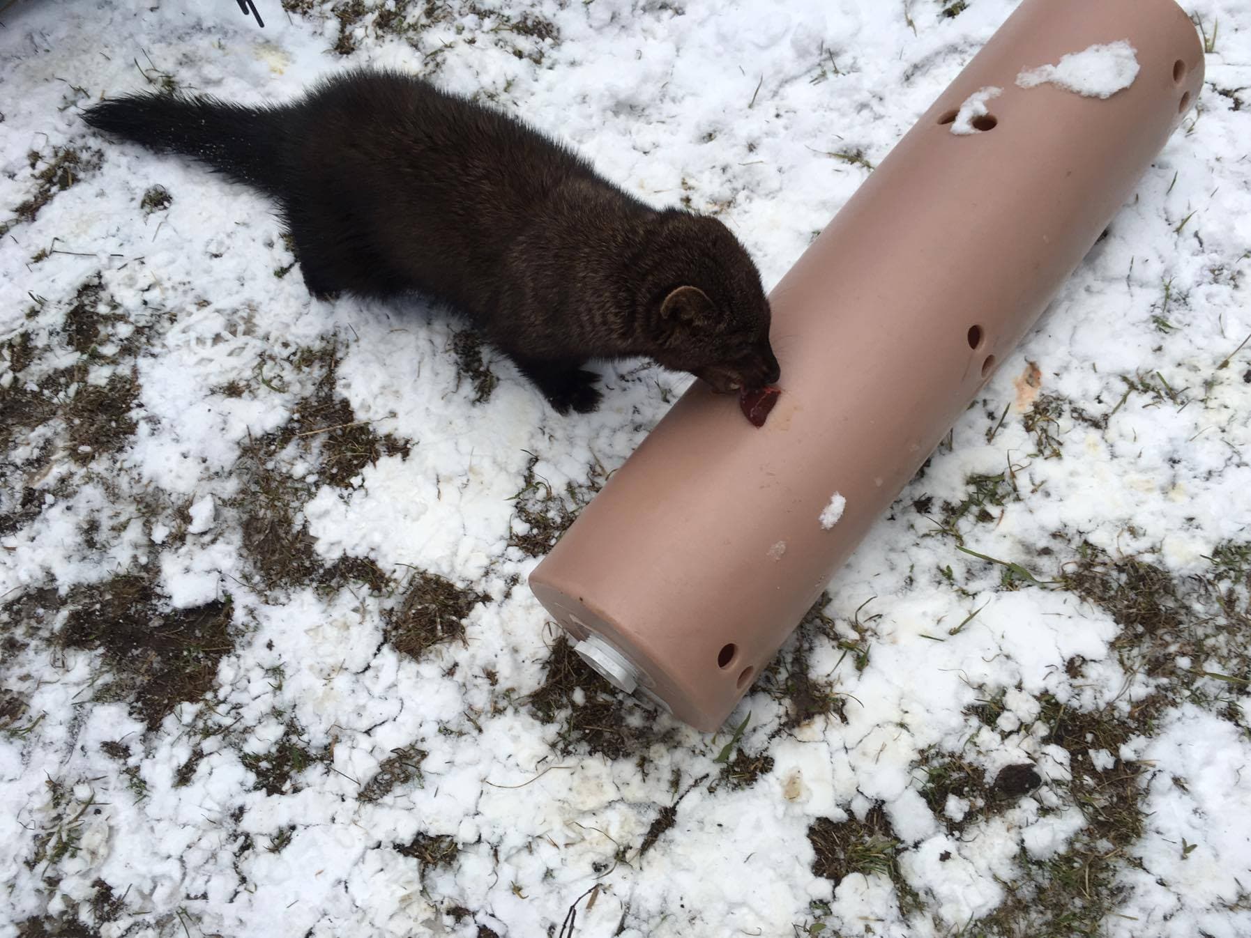 Farrah playing with a donated toy (2)