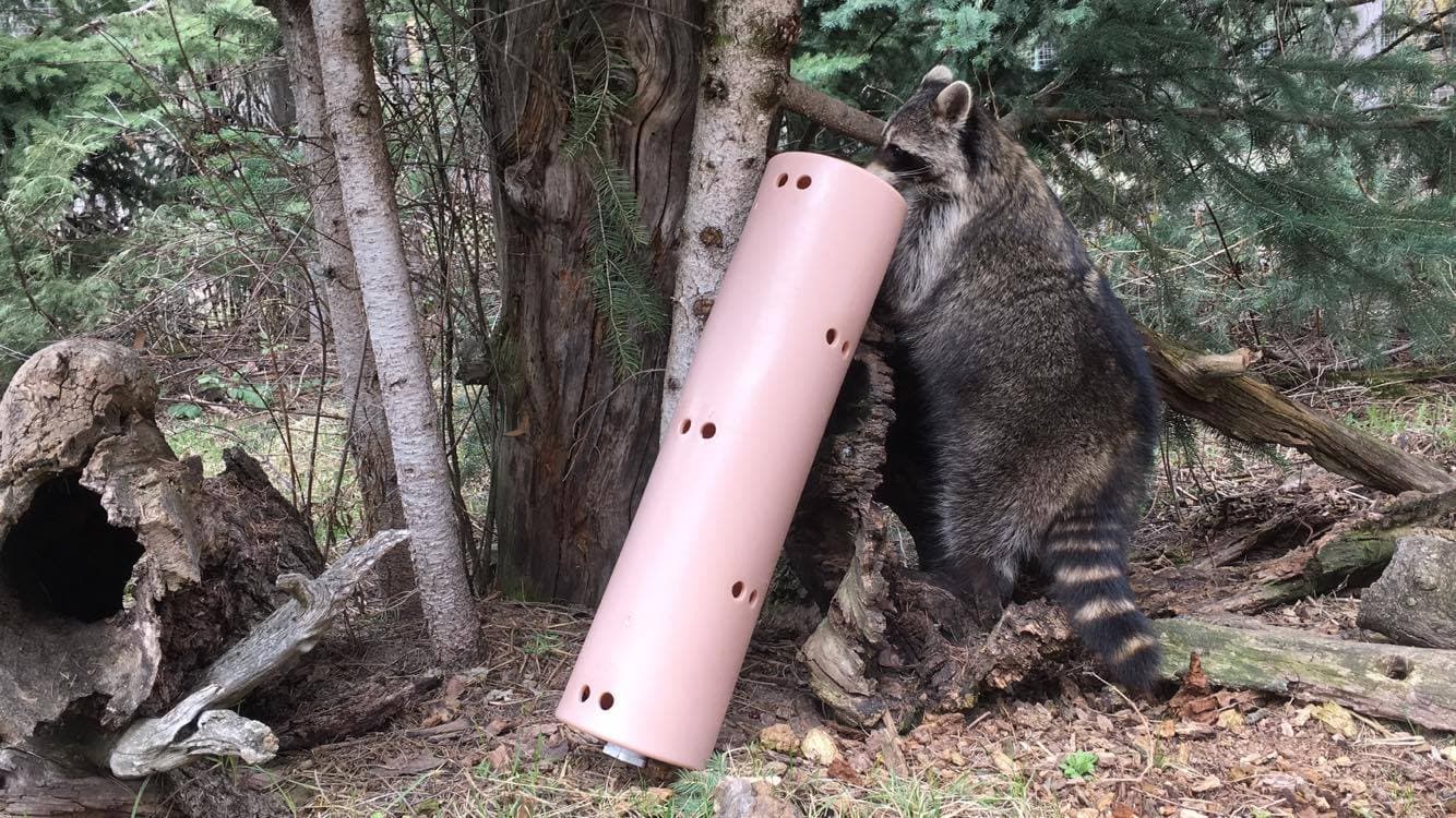 Prudence playing with a donated toy